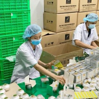 Kem face pháp mẫu mới nhất