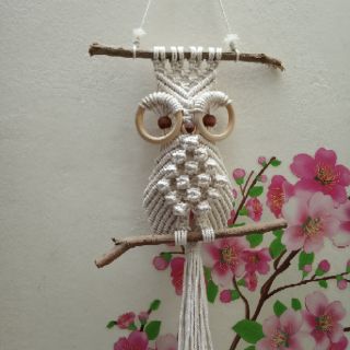Cú mèo macrame cú trang trí cú treo tường