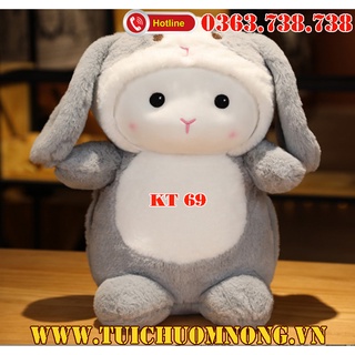 Túi chườm nóng kute gấu thỏ xám kt69