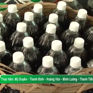 15 chai nước tương Sa Đéc