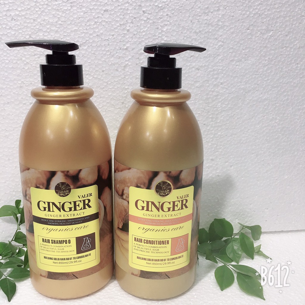 Dầu cặp gội xả Ginger 850ml ( cả cặp- dầu gội +xả gừng)