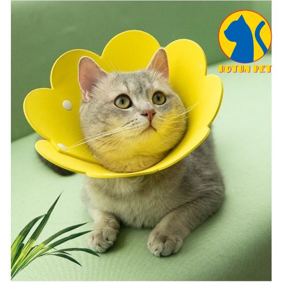 (Nhiều màu) LOA XỐP ĐEO CỔ CHỐNG CẮN CHỐNG LIẾM VẾT THƯƠNG BẢO VỆ CHÓ MÈO HÌNH BÔNG HOA DỄ THƯƠNG