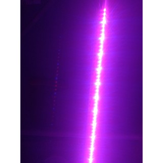 Đèn Led trồng rau, led thực vật thanh 1m 12v màu 3 đỏ 1 xanh chuyên dụng cho nông nghiêp