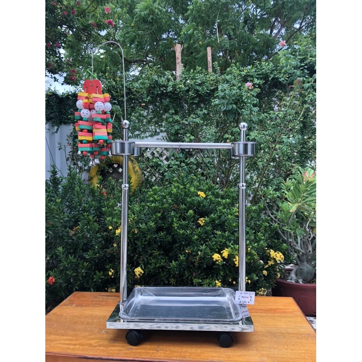 Cầu đứng inox nâng chiều cao dành cho tất cả các dòng vẹt : xích, ring neck, hahn macaw, sun, lory, amazon, xám, macaw