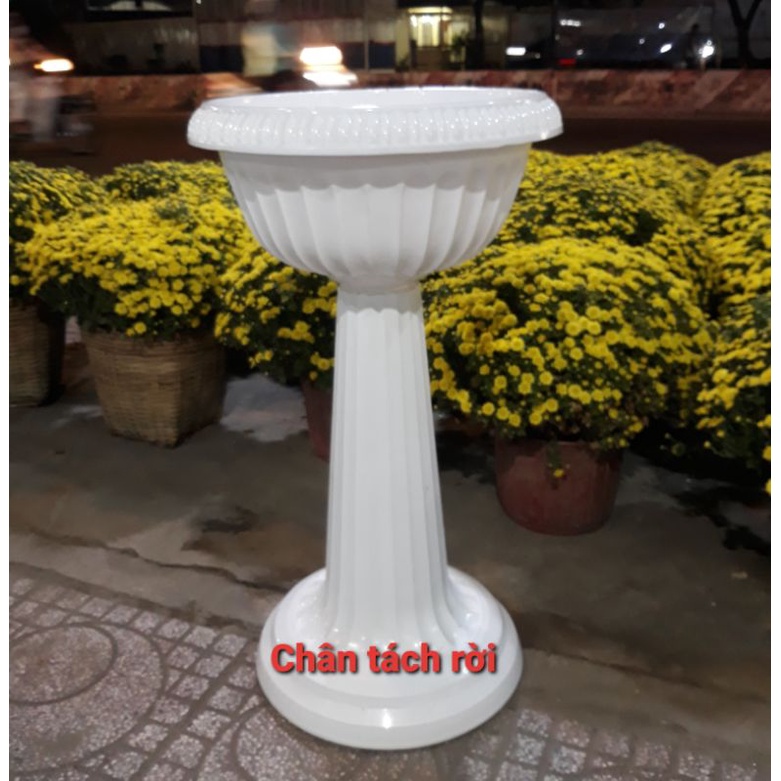 Chậu Nhựa Chận Đế Tách Rời Cao 80Cm Trồng Hoa, Kiểng