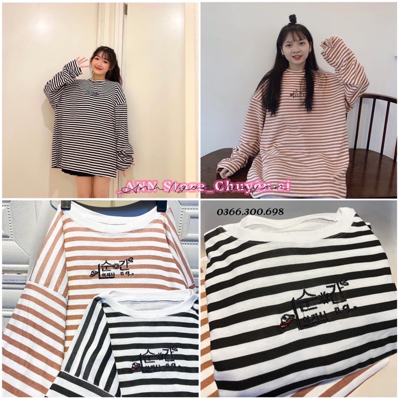 Áo thun kẻ sọc dài tay chất cotton tăm siêu đẹp form rộng (ảnh thật_annstore)