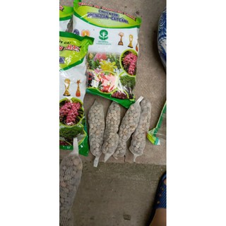 10 đoạn phân dê dài 15cm nguyên chất giá tốt