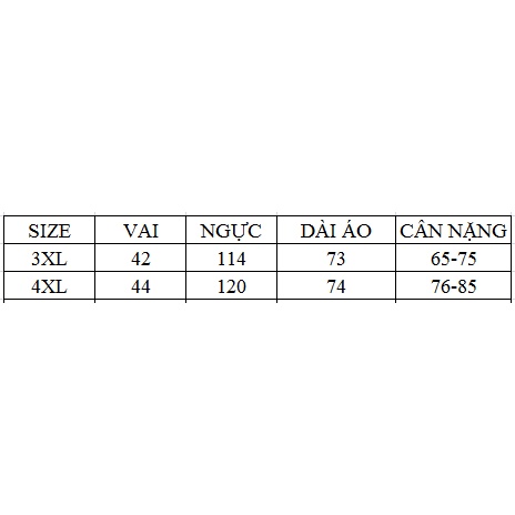 ( HÀNG SẴN) Áo Kiểu Ren Ngắn Tay Cho Người Phụ Nữ Mập SM48 - Hàng Quảng Châu Cao Cấp