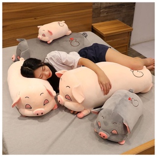 Gấu bông heo hồng