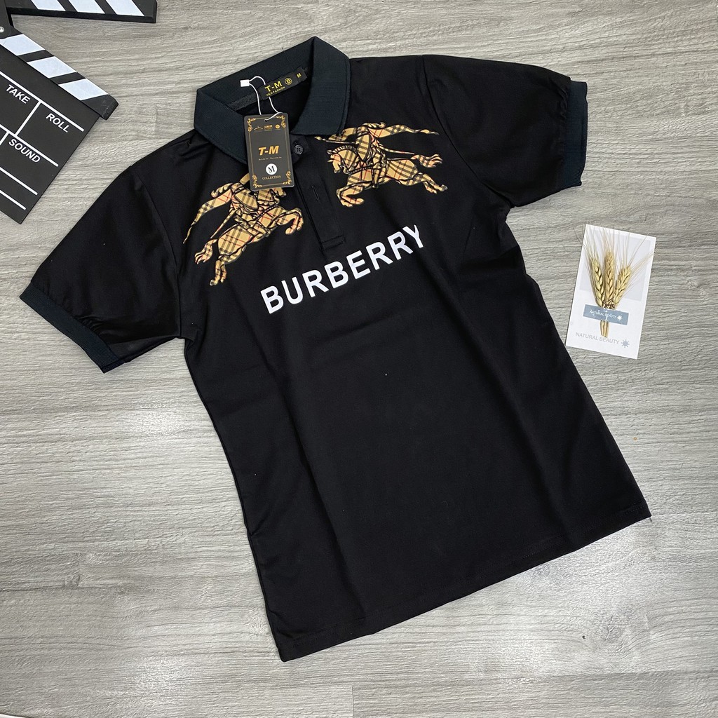 Áo thun nam POLO BBR đẹp có cổ tay ngắn vải cotton co giãn 4 chiều 2 màu cao cấp AHFASHION HL1