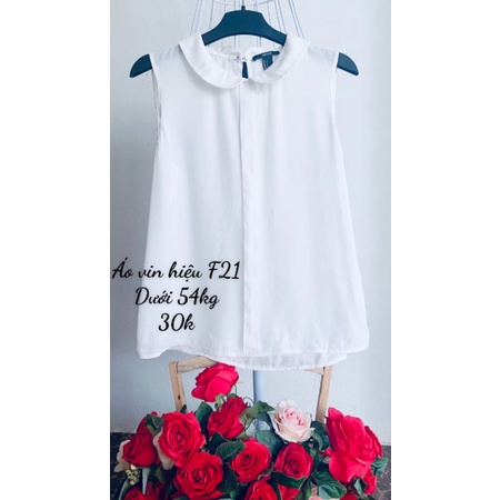 Áo sơ mi vin- von kiểu