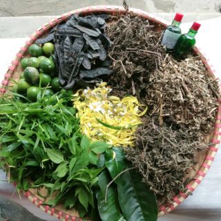 Dầu gội thảo dược hữu cơ