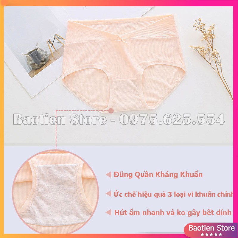 QUẦN LÓT BẦU Cạp Chéo| Bigsize| Sau Sinh| Cotton| Thông Hơi| Kháng Khuẩn| Đồ Lót Chip Bà Bầu - QL19