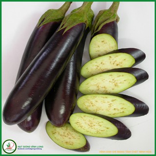 Hạt giống Cà nâu cơm xanh TN 78A