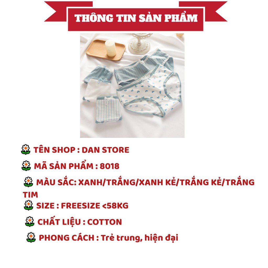 Quần Lót Nữ Cotton - Quần Lót Nữ set xanh viền bèo dễ thương mềm mại thoáng mát DAN STORE Mã 8018