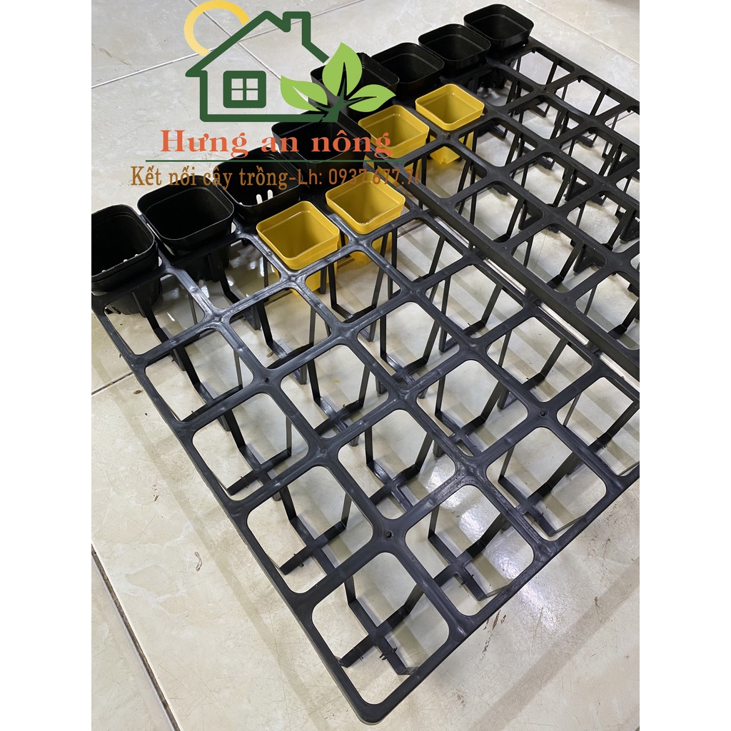 KCNOVL3 - Sét 5 khay chữ nhật 24/32 Ô dùng chứa chậu ươm trồng sen đá xương rồng cây giống