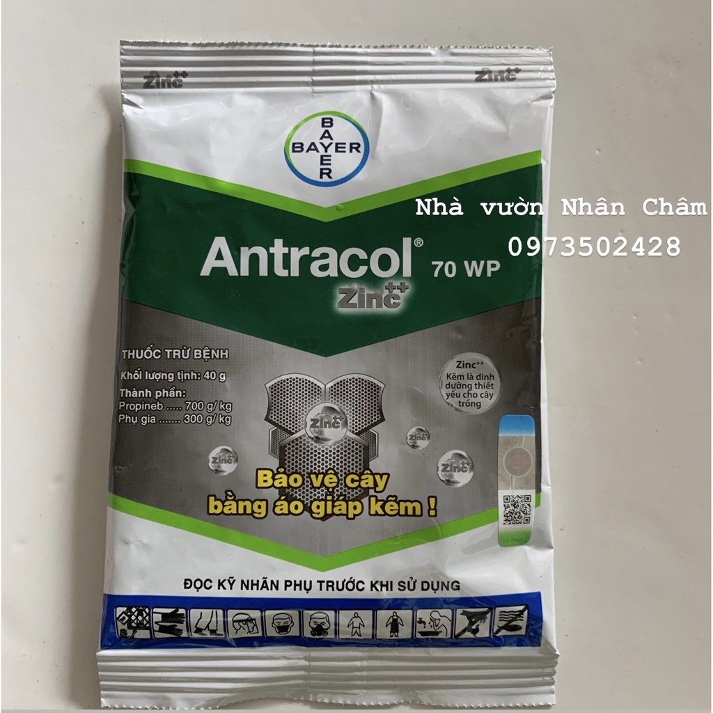 Combo thuốc trị bệnh cho lan Thuốc trừ nấm ANTRACOL 70WP & Starner 20wp sản phẩm từ Nhật Bản