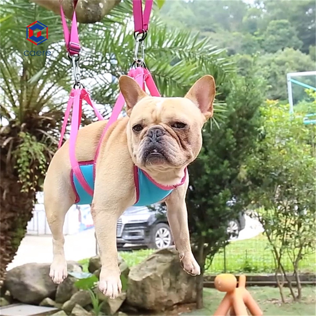 Võng treo chịu lực tốt chải lông cho thú cưng tiện lợi
