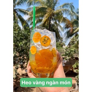 Tắc xí muội hoa