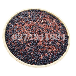 Trà đậu gạo lứt - Giảm Cân Thần Tốc 500G/ 1KG