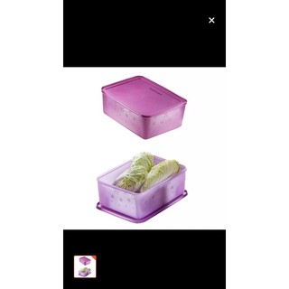 1 hộp đông dẻo size đại 5,7L tup malay oder