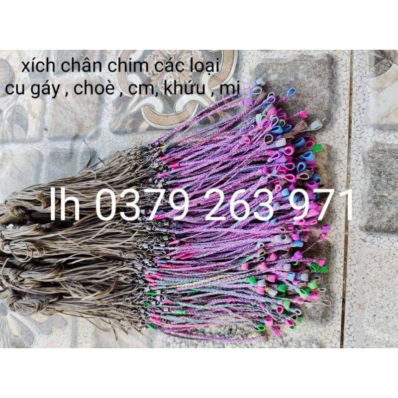 Xích chân chim chào mào, chòe than,lửa....