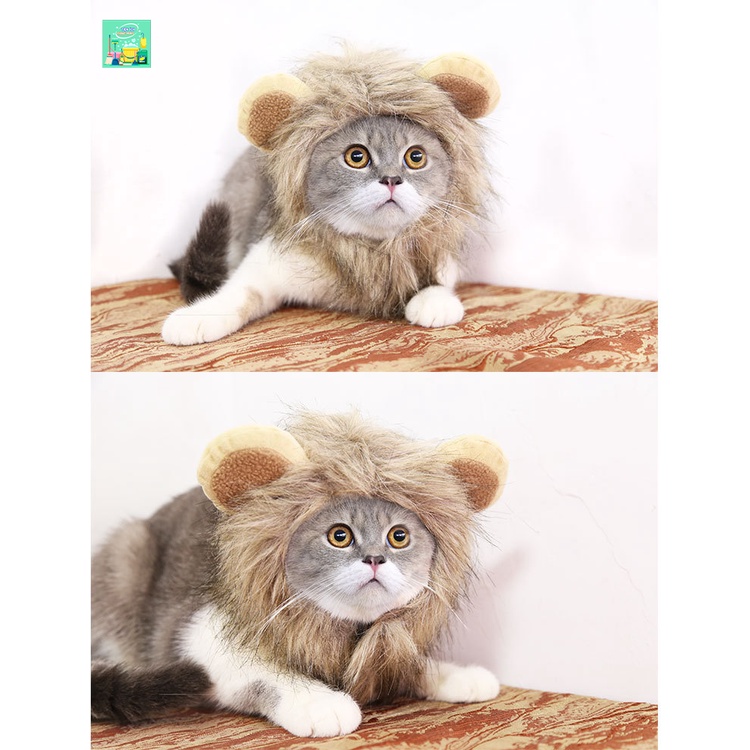 Mũ đội cho chó mèo cosplay sư tử. Nón hóa trang cho thú cưng siêu ngầu. Mũ giữ ấm thời trang cho thú cưng - VV362