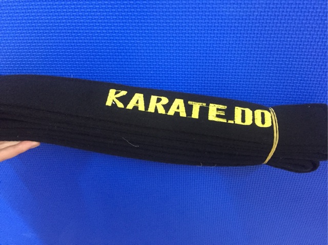 Đai võ thuật các môn phái karate, teakwondo, vovinam, cổ truyền ...