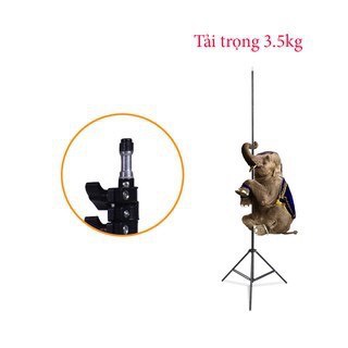 Bộ đèn studio chụp ảnh, quay phim, Livestream chuyên nghiệp cao 2m softbox 50x70cm