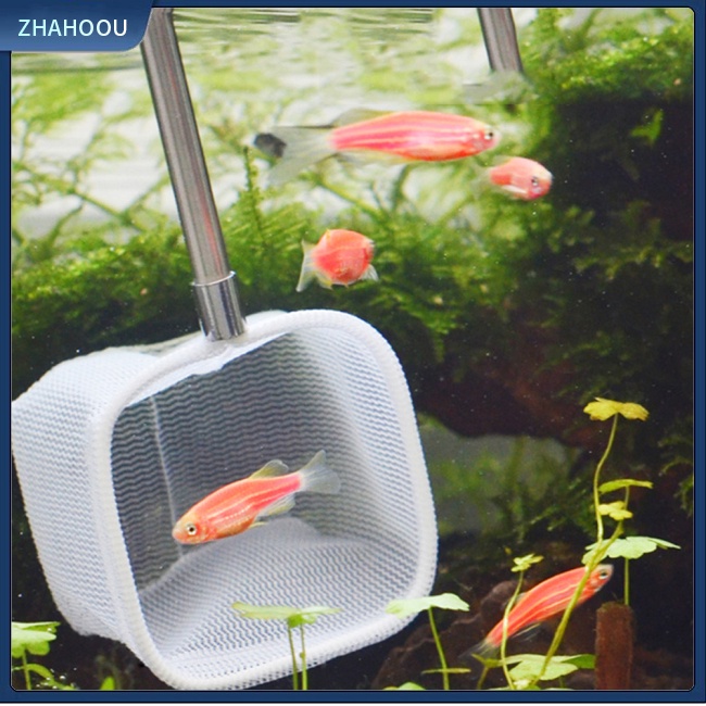 ☃Nhà☃ Vợt Lưới Bắt Tôm Cá 3D Cho Bể Cá