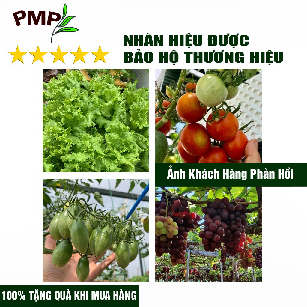 Combo Phân Đậu Nành SOYMIC V & Dịch Chuối Humic PMP Bộ Hữu Cơ Vi Sinh Chuyên Dùng Cho Rau Sạch