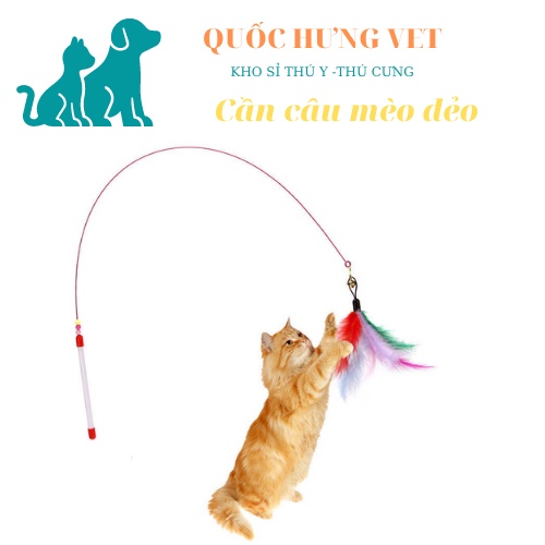 ĐỒ CHƠI CHO MÈO-CẦN CÂU MÈO MEO MEOOOO- Quốc Hưng vet
