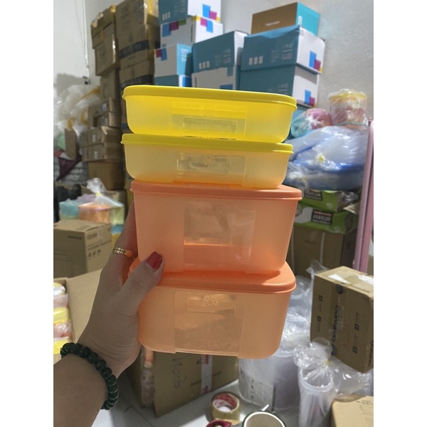 Set 4 hộp Tupperware trữ đông,trữ mát (2hộp 700ml+2hộp 300ml)