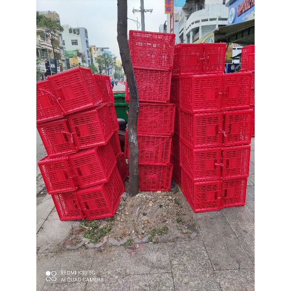 Sóng trái cây không nắp  cao cấp