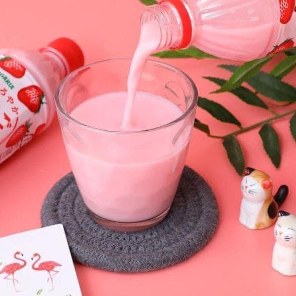 Sữa Trái Cây Sangaria 500Ml