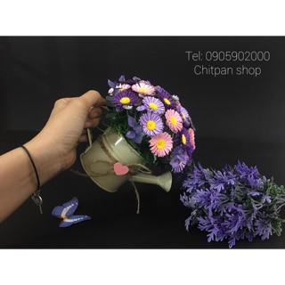 Chậu hoa thạch thảo giấy chitpan