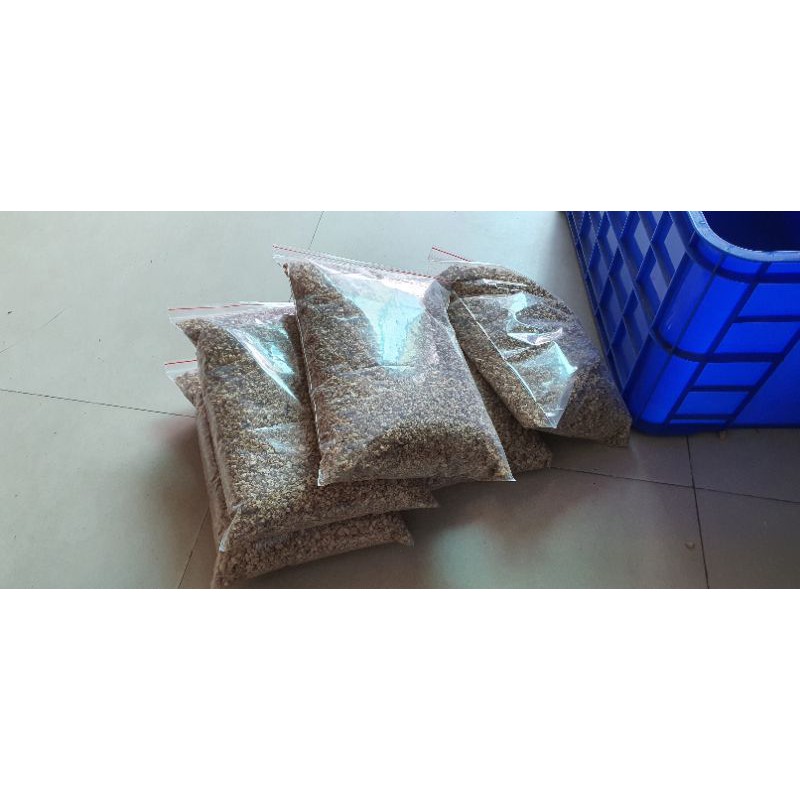 Cùi Bắp Lót Chuồng dành cho Bò Sát