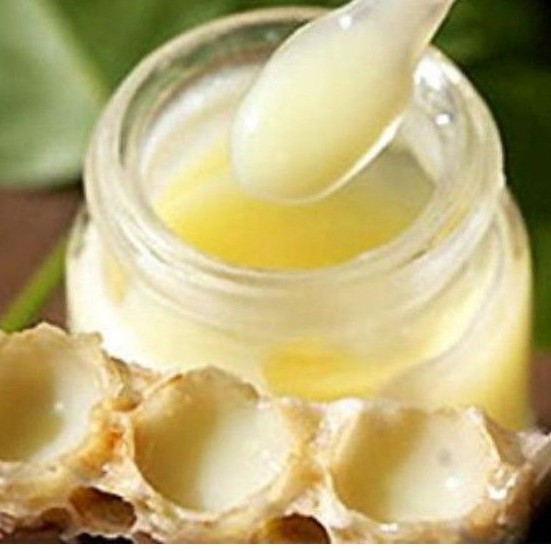 100g sữa ong chúa tươi nguyên chất