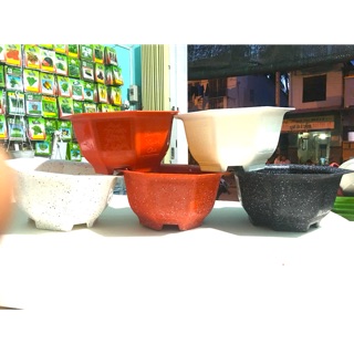 [Chậu Bonsai] Chậu Nhựa, Chậu lục giác, chậu dáng thấp trồng hoa kiểng (nhiều size - chậu đo kich thước phủ bì)