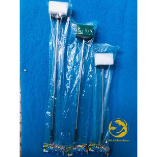Cây cọ bể 2 mặt vệ sinh bể cá