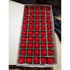 Bóng đèn trái ớt sợi đốt đui E12
