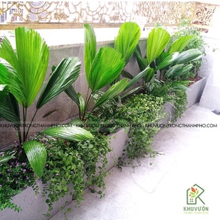 Chậu xi măng đá mài chữ nhật 80x30x30cm, chậu đá mài trồng cây
