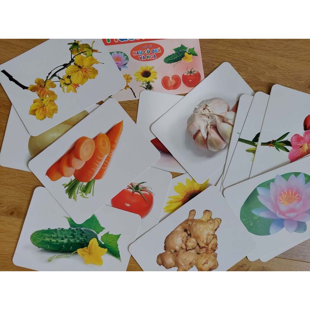 Thẻ học thông minh kích thước lớn 12x16cm(1 chủ đề) tùy chọn -  Flashcard TGXQ Glenn doman chuẩn