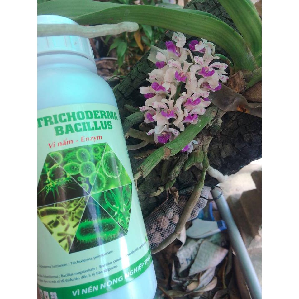 NẤM ĐỐI KHÁNG TRICHODERMA BACILLUS HLC  CHAI 250ML - Ủ PHÂN CHUỒNG, TƯỚI CÂY, ĐỐI KHÁNG NẤM BỆNH, CẢI TẠO ĐẤT