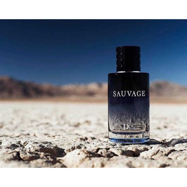 Nước Hoa Dior Sauvage EDT,  Nước hoa nam tính lưu hương lâu | BigBuy360 - bigbuy360.vn