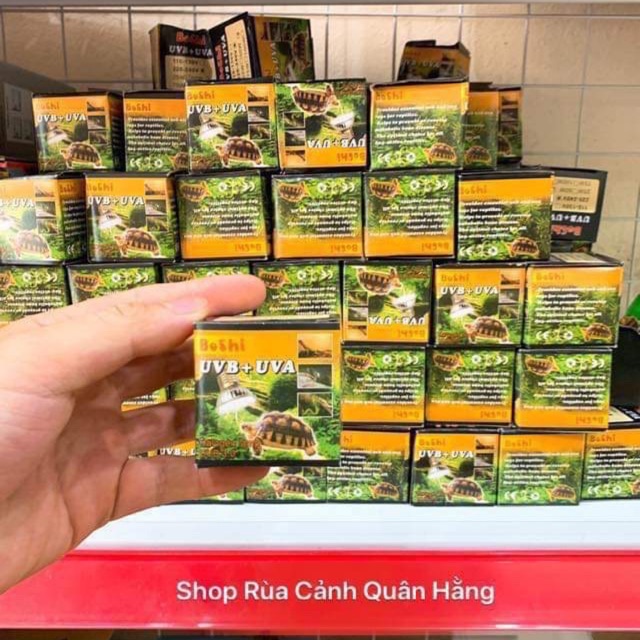 Bóng mặt trời UVA + UVB 75w