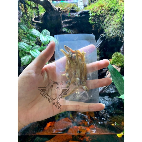 [Buffet 3k] Cá khô dành cho hamster