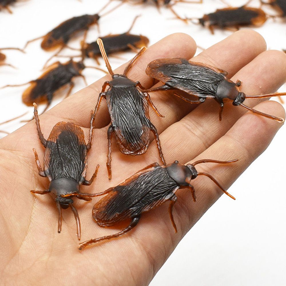 10 Con gián giả đồ chơi vui nhộn giống như thật dùng để trang trí cho ngày lễ Halloween