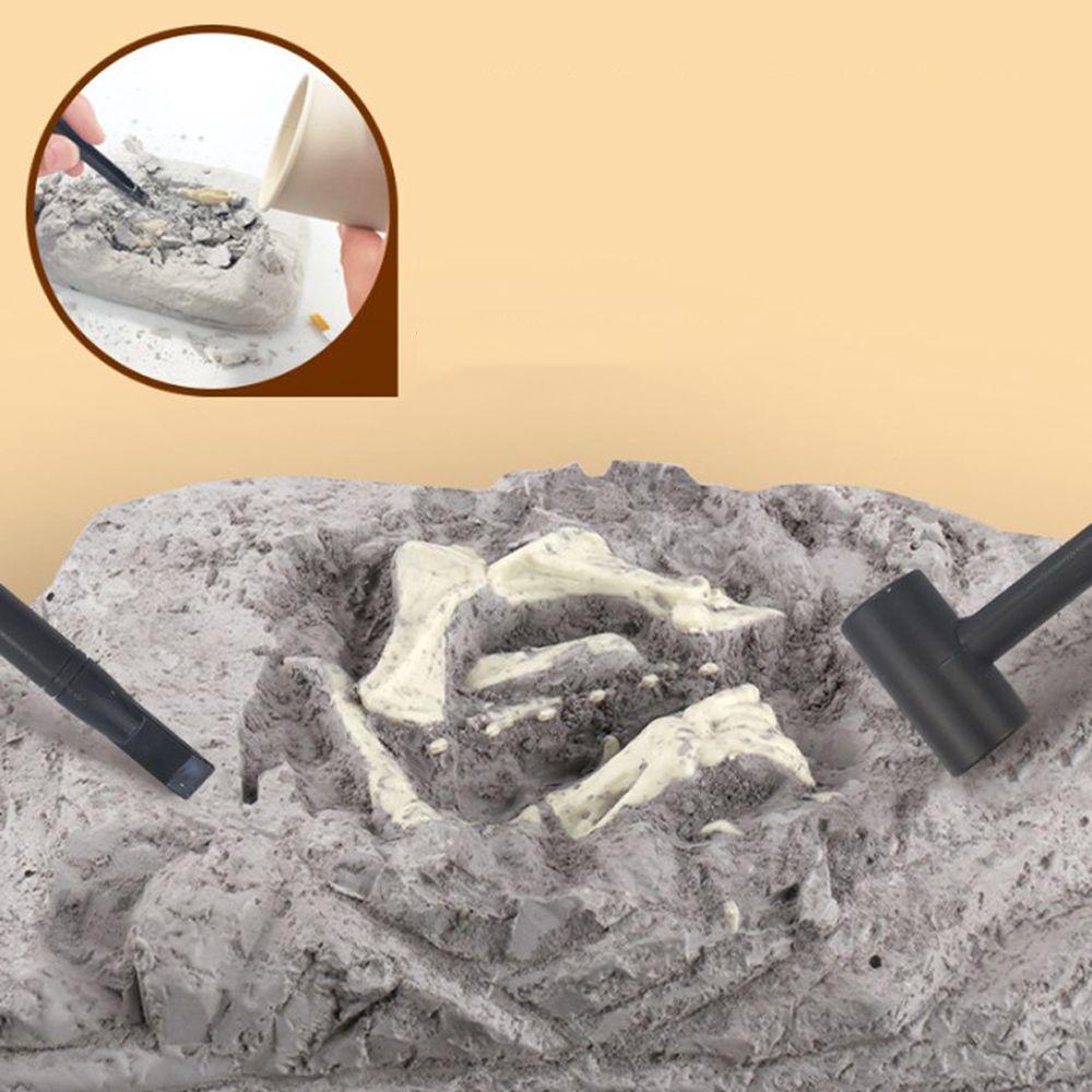 Mô Hình Bộ Xương Khủng Long 3D Độc Đáo Giáo Dục Cho Bé