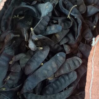 Bồ kết khô 500gr